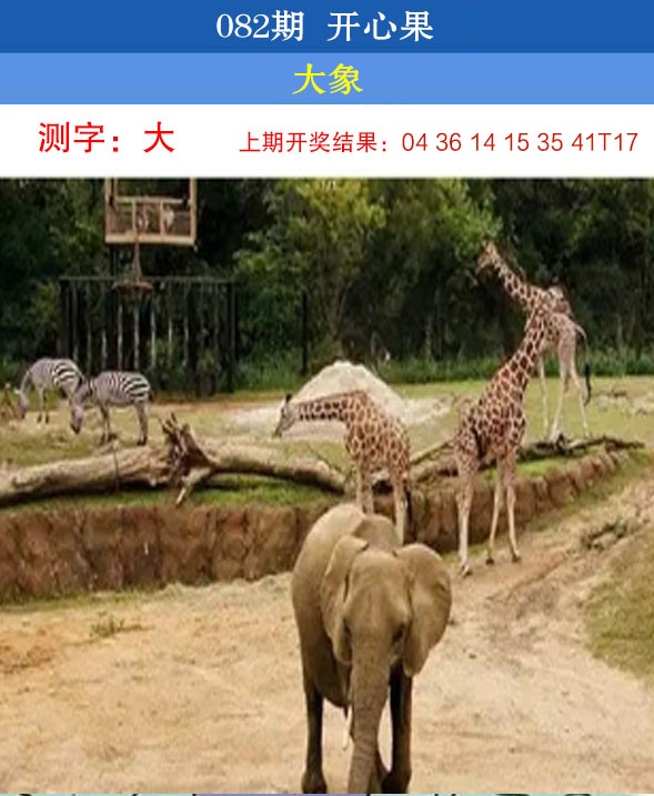 082期开心果[图]