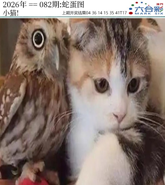 082期正版蛇蛋图[图]